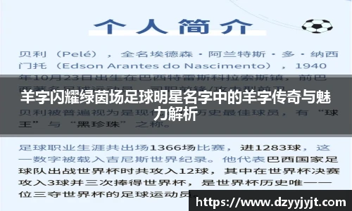 羊字闪耀绿茵场足球明星名字中的羊字传奇与魅力解析